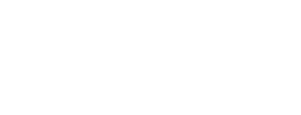 NST Group Vietnam logo