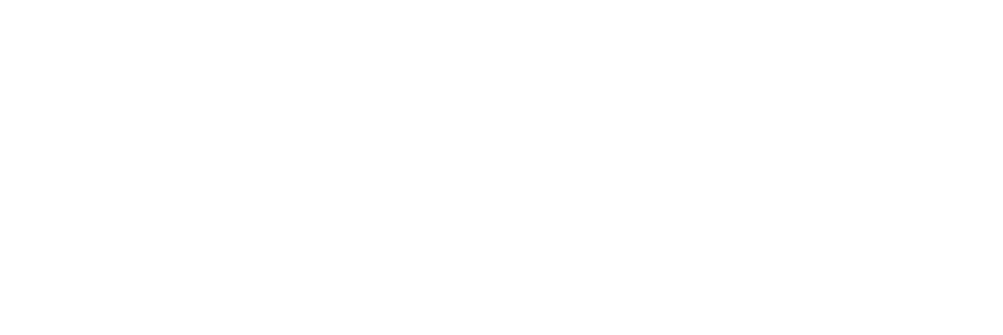 Skyway logo